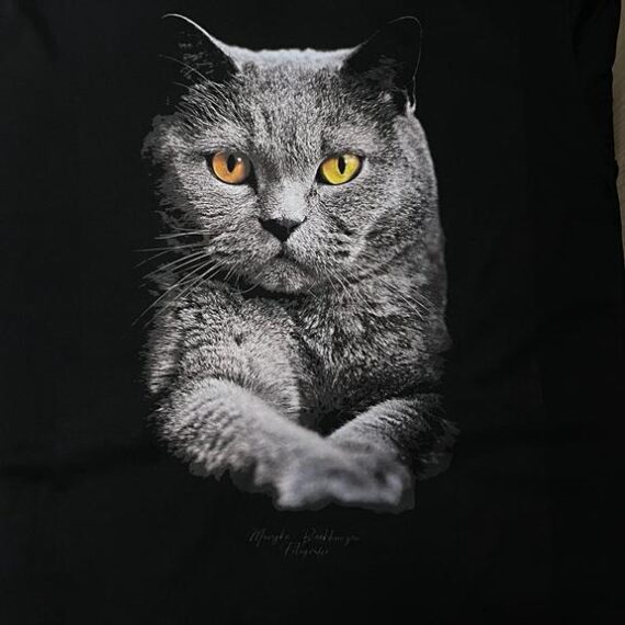 Mesin Sablon Innojet DTF